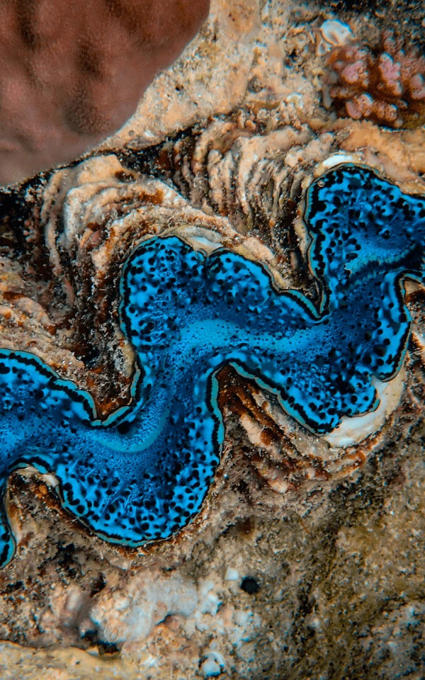 使用 AI 進行電子郵件行銷的指南