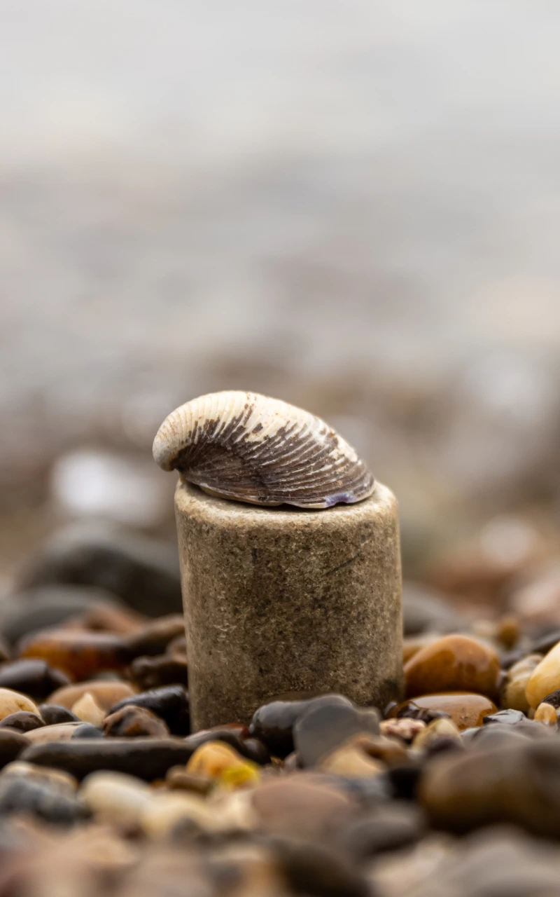 生成式引擎優化（GEO）：讓內容被 AI 選中