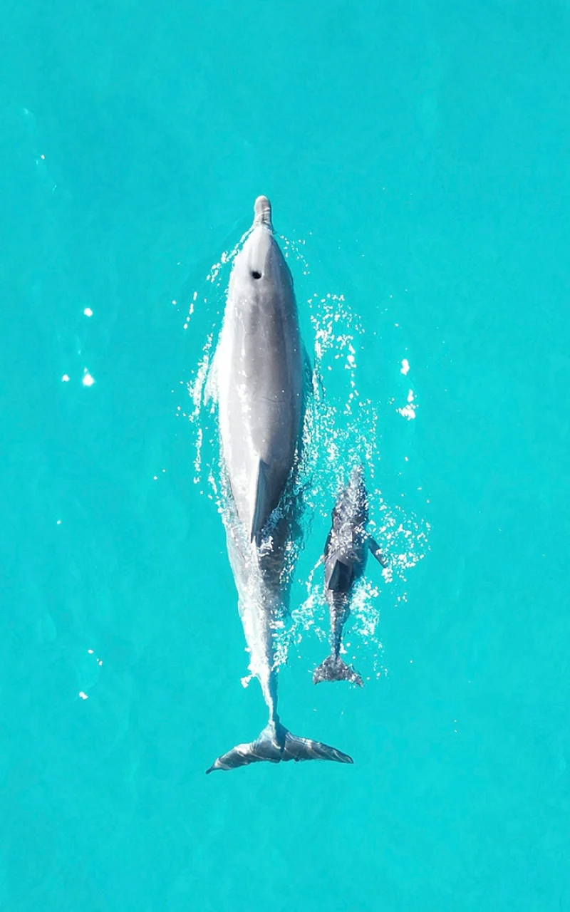 你 的 B2B 原生社群媒體策略如今成為 AI 策略