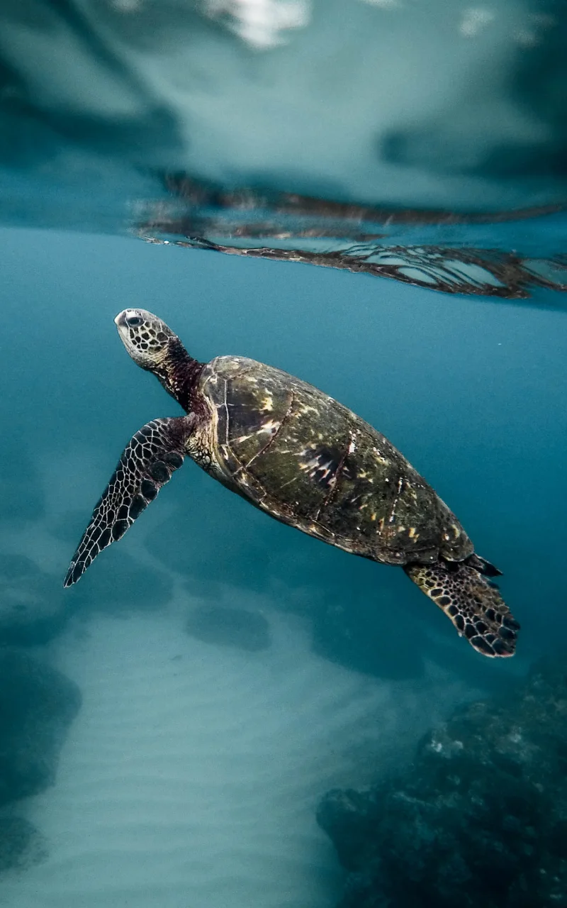 2026 年的 B2B 行銷：實際上有哪些變化、哪些保持不變